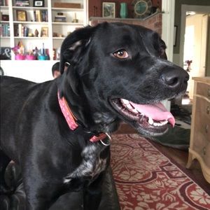 Meet your Posher, Kate